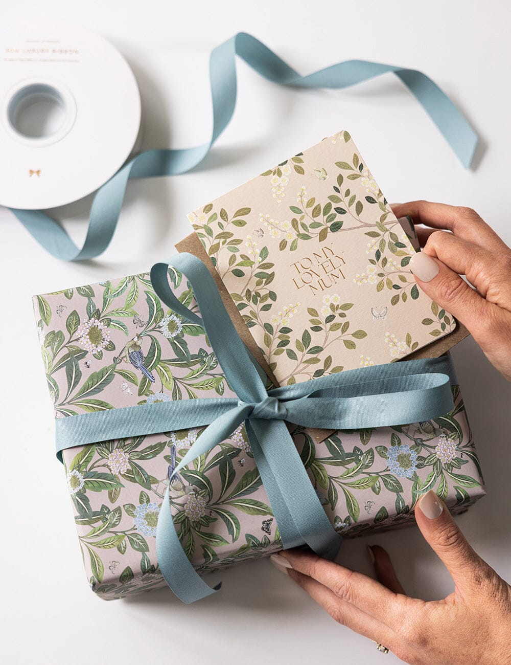 Camellia Tree / Summer Garden 6pk Gift Wrap Sheets