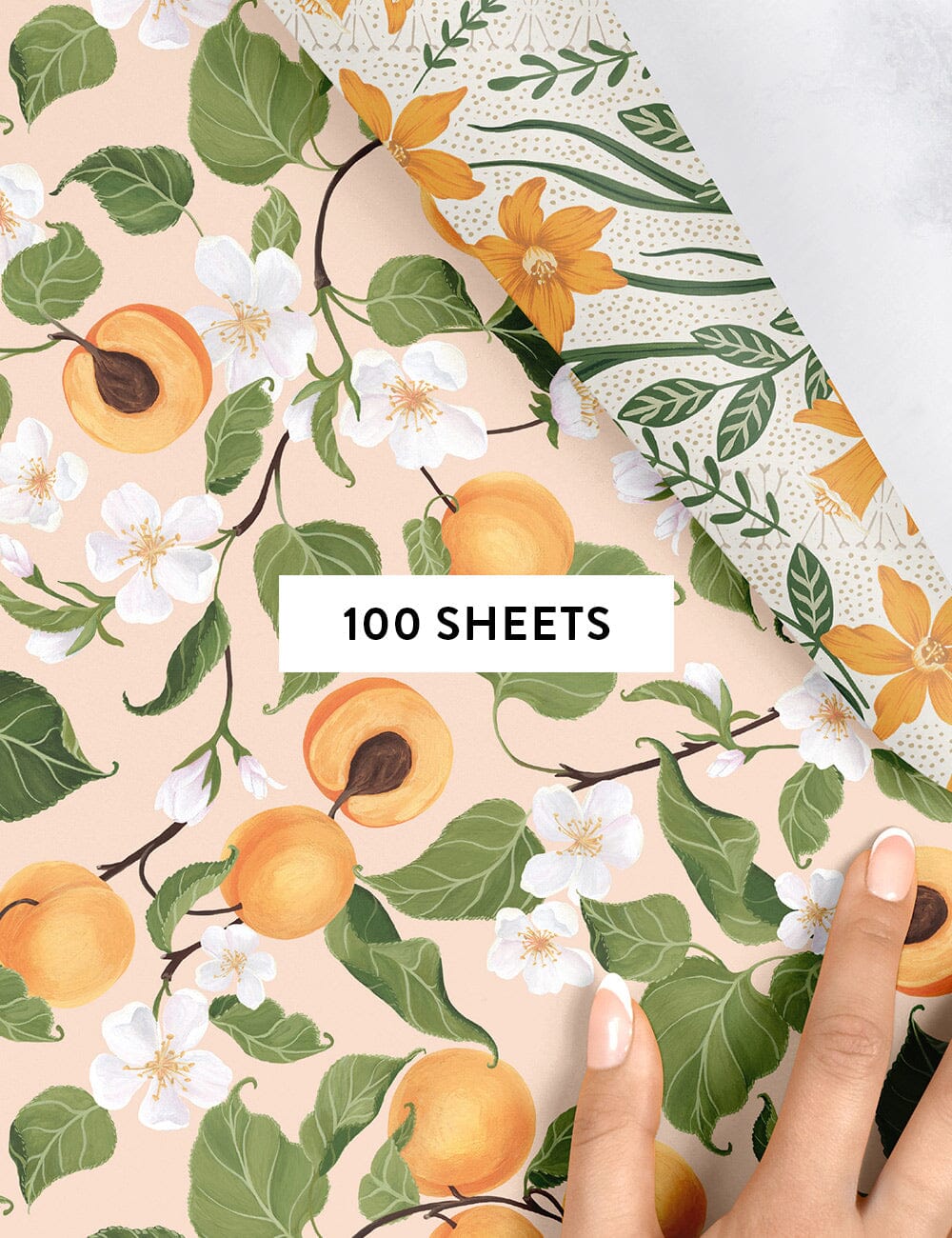 Peaches / Daffodil Gift Wrap 100pk Gift Wrap Bespoke Letterpress 
