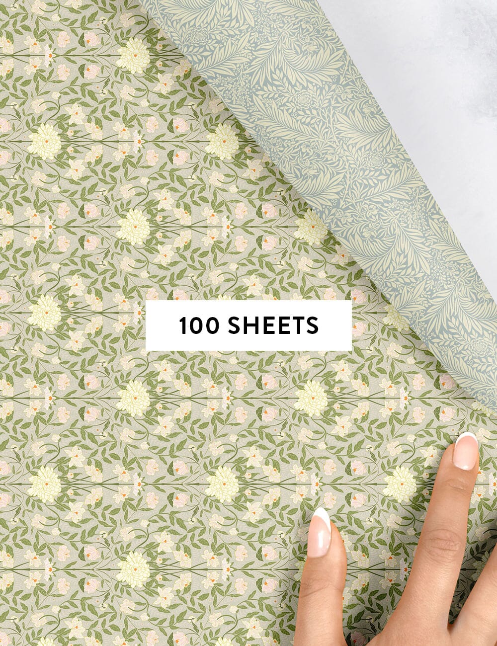 Bloomere / Dune Thicket Gift Wrap 100pk