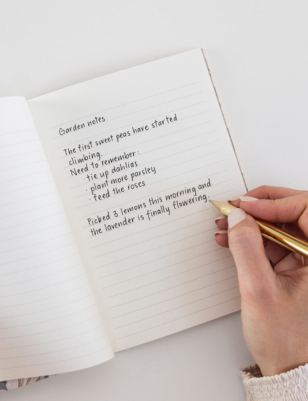Pocket Notebook - Belvedere