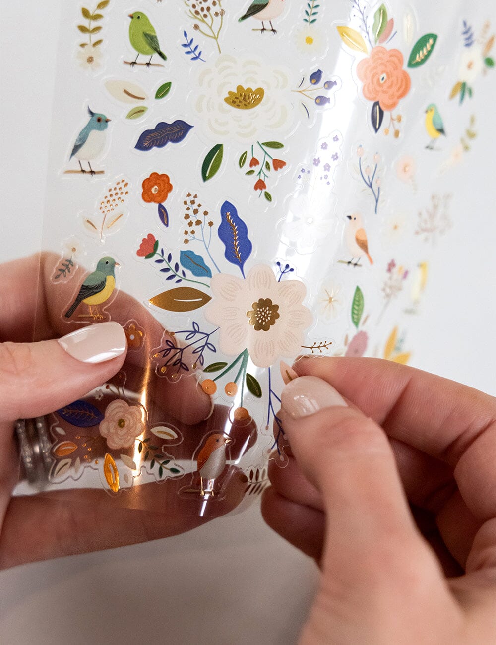 Garden Birds Sticker Sheet Stickers with clear background from Bespoke Letterpress 