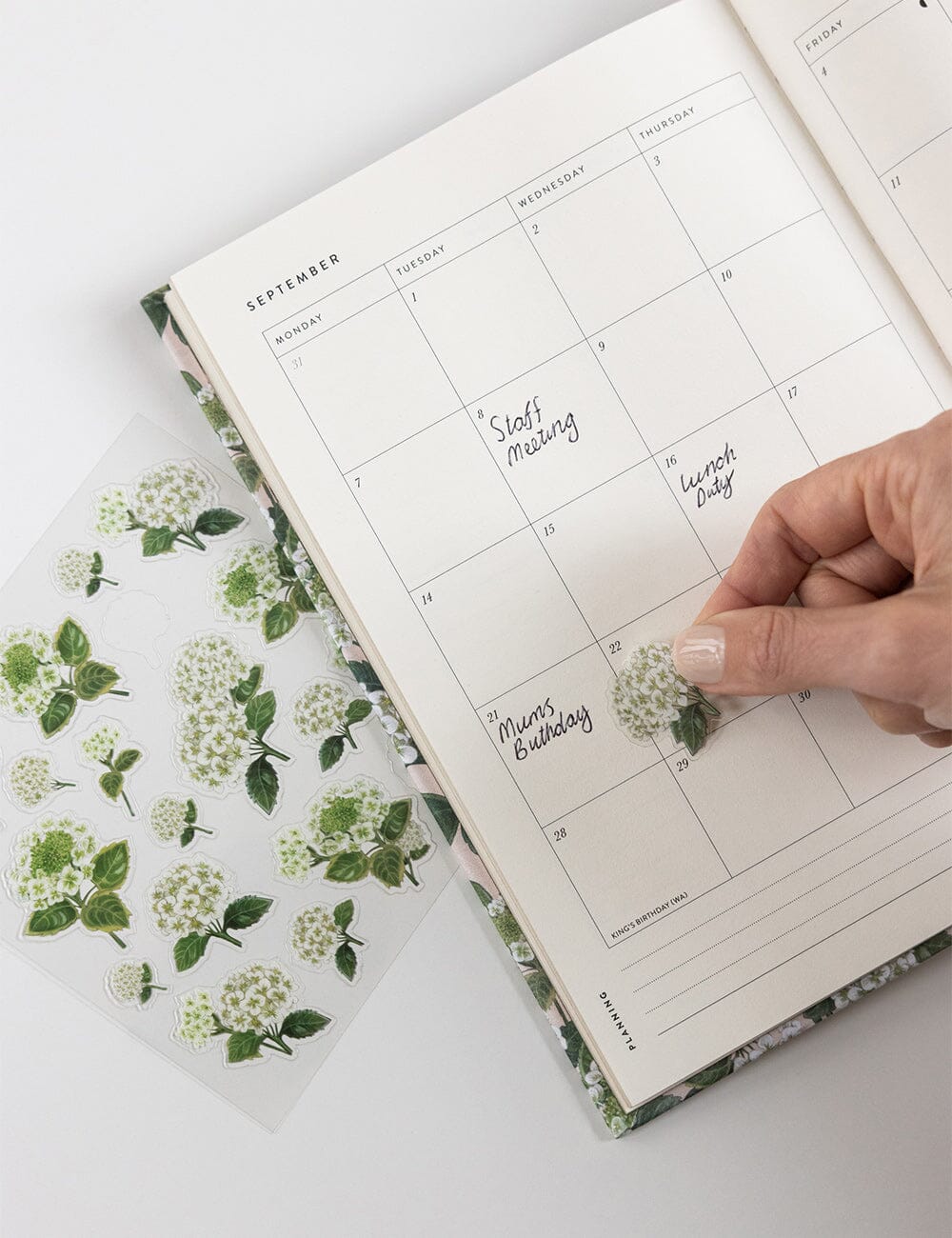 Hydrangea Sticker Sheet