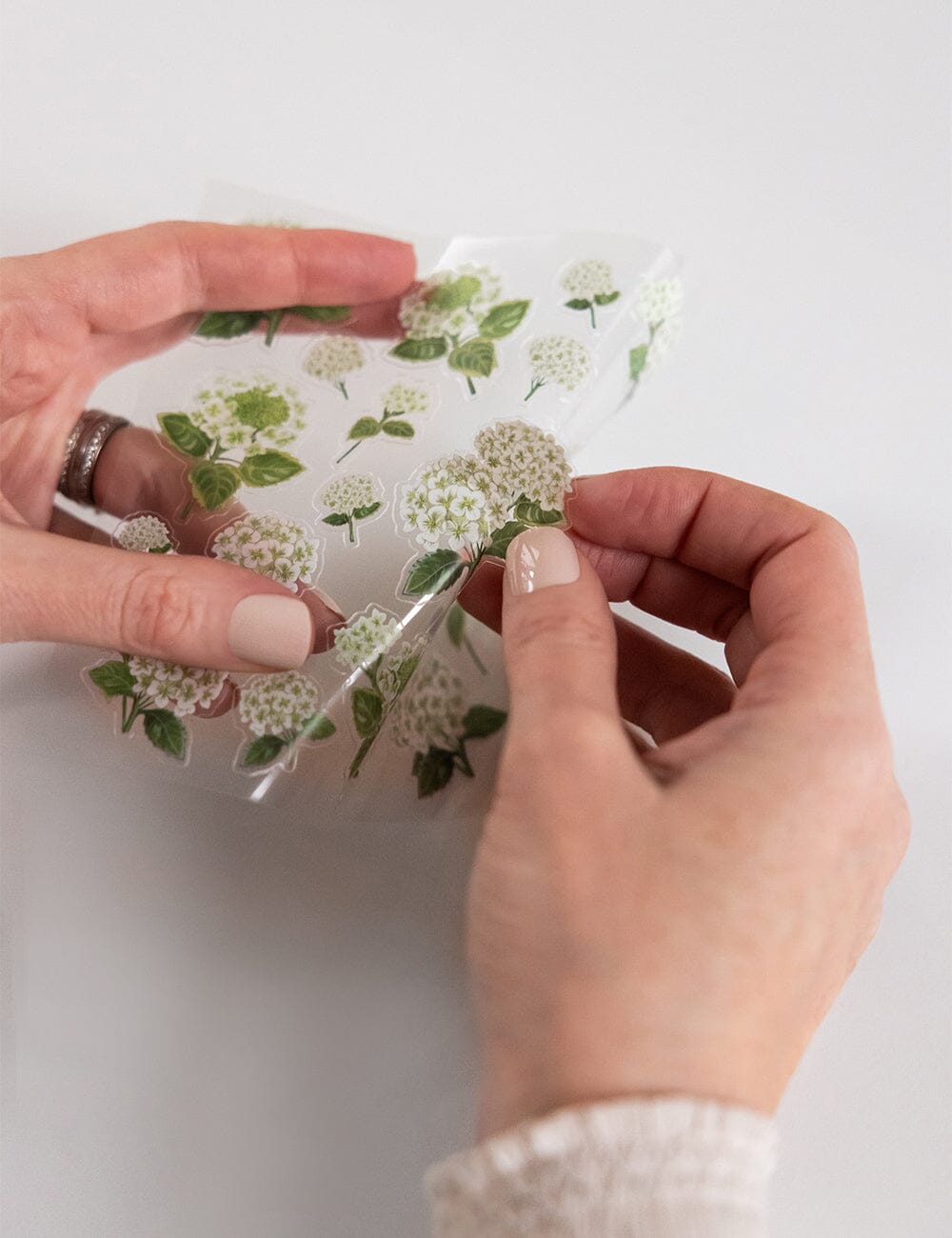 Hydrangea Sticker Sheet