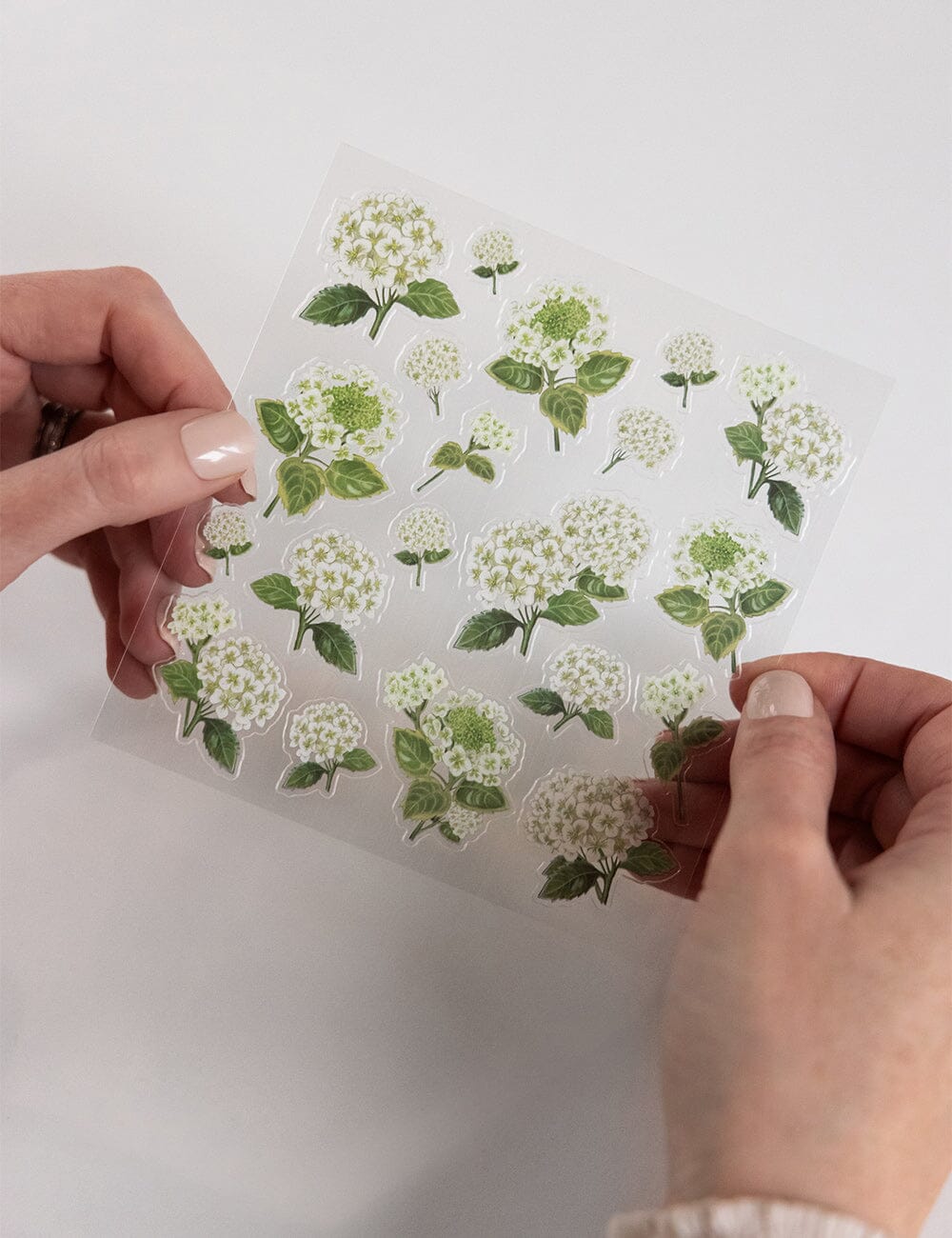Hydrangea Sticker Sheet