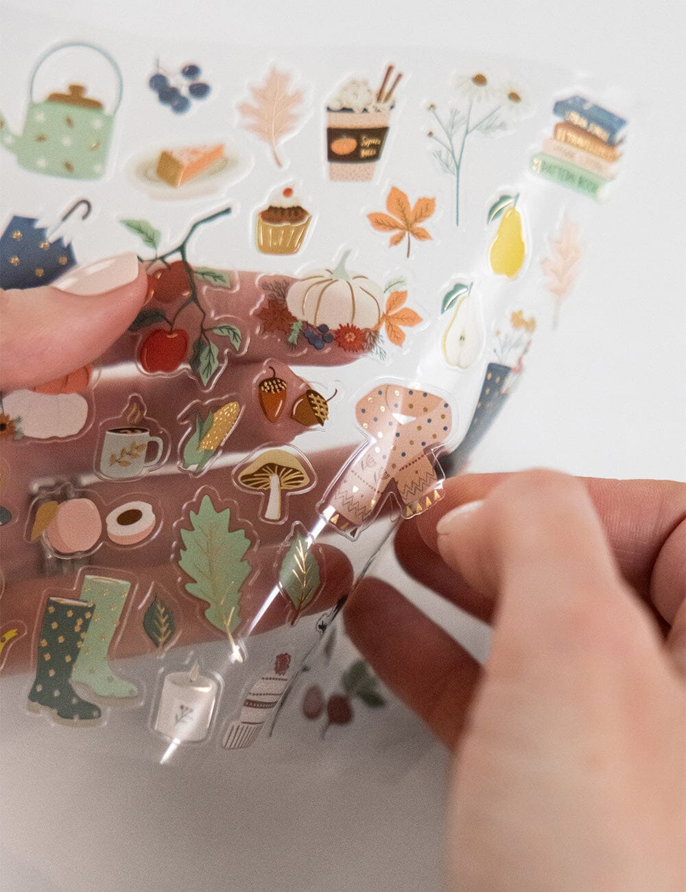 Autumn Edit Sticker Sheet Stickers Bespoke Letterpress 