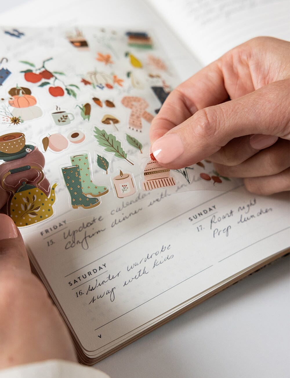 Autumn Edit Sticker Sheet