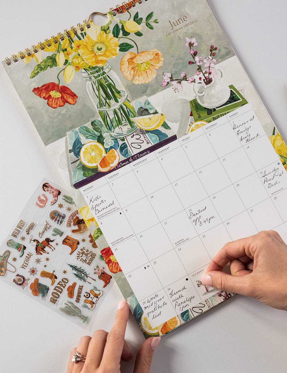 Wild Western Sticker Sheet