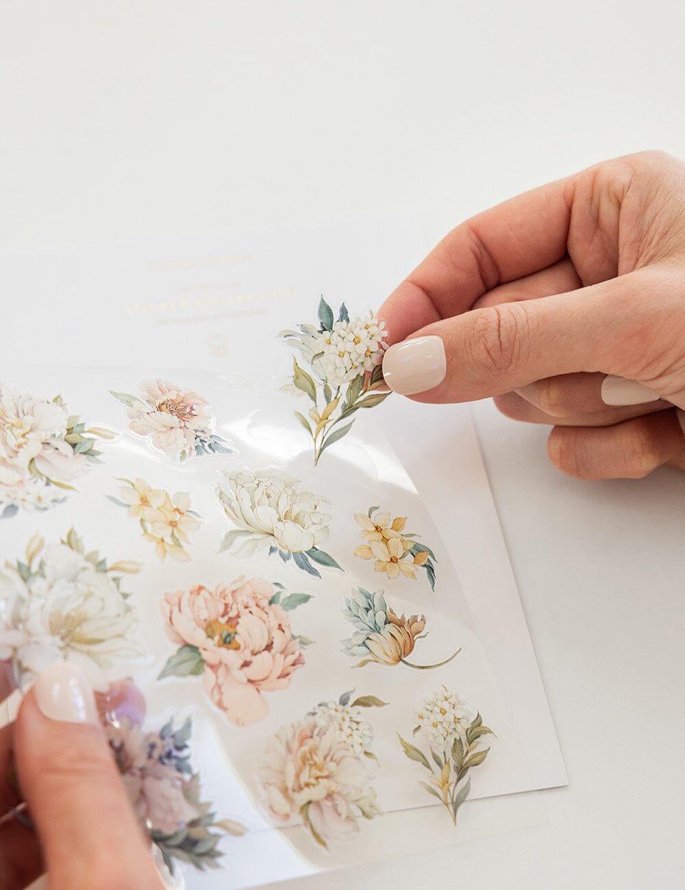 Promenade Peonies Sticker Sheet