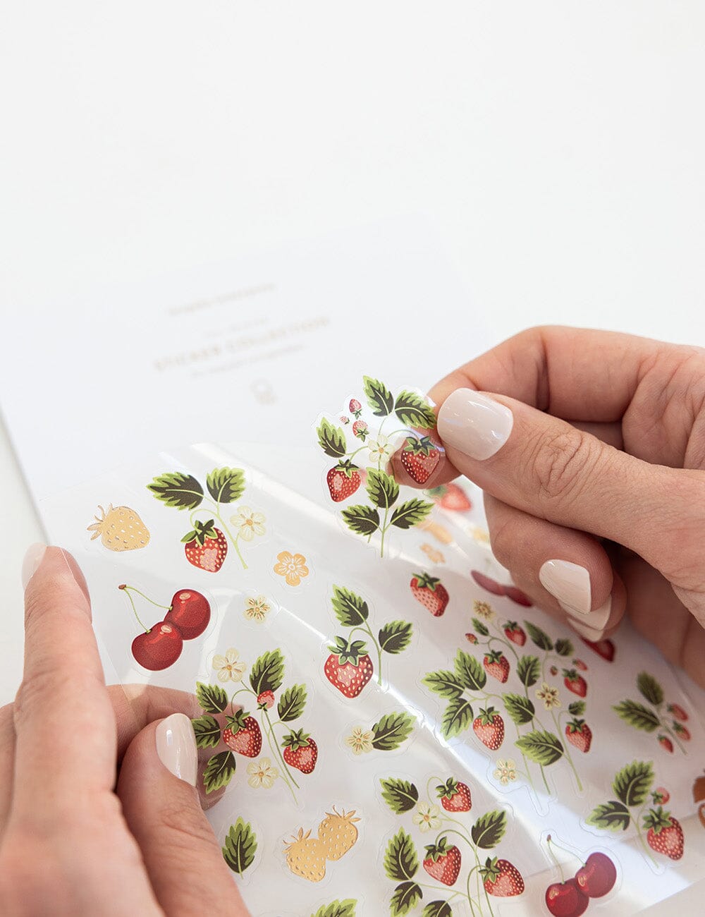 Strawberries Sticker Sheet