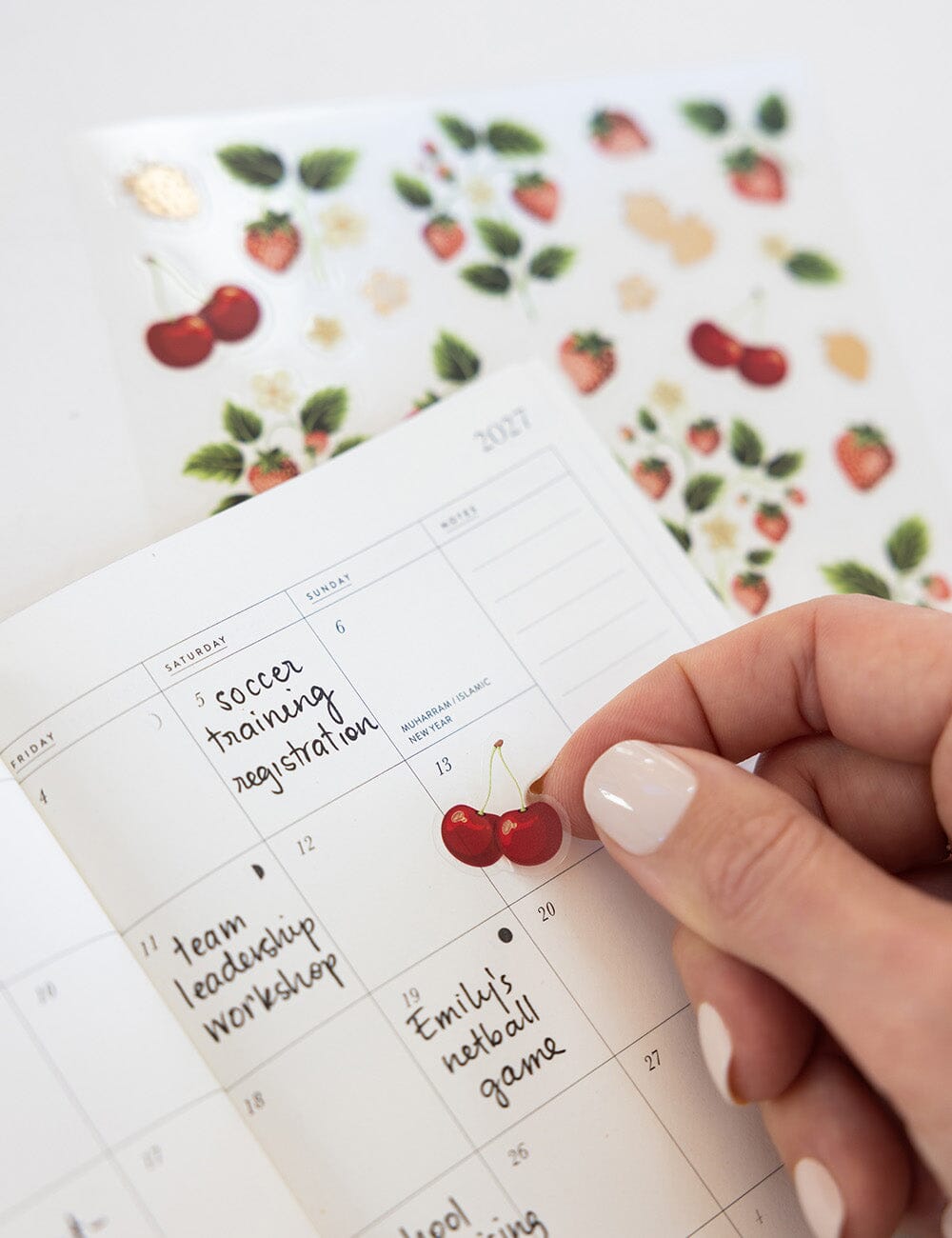 Strawberries Sticker Sheet