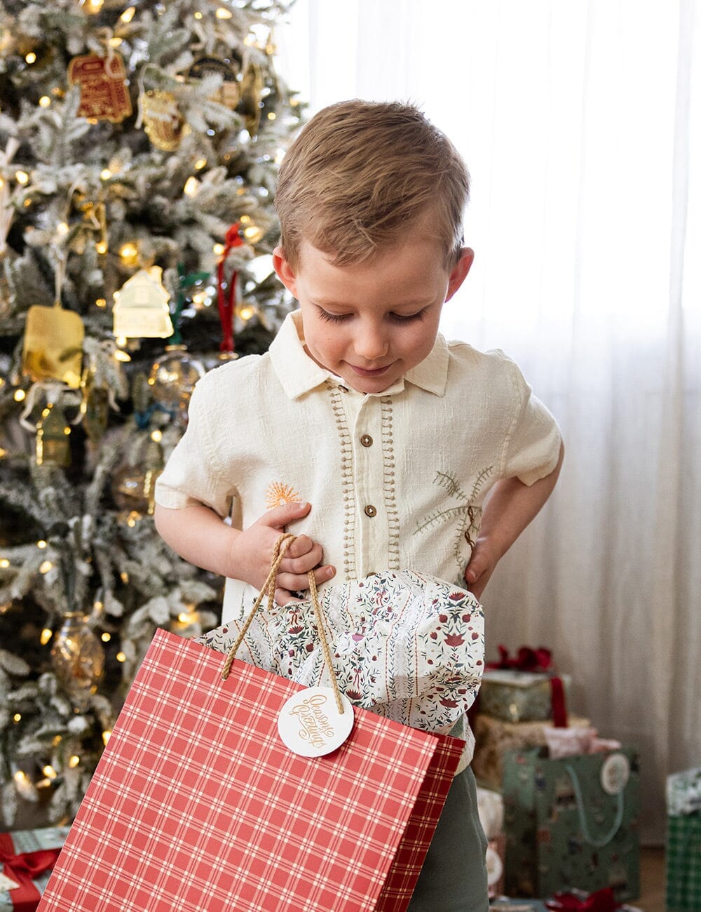 4pk Tissue Paper - Festive Florals