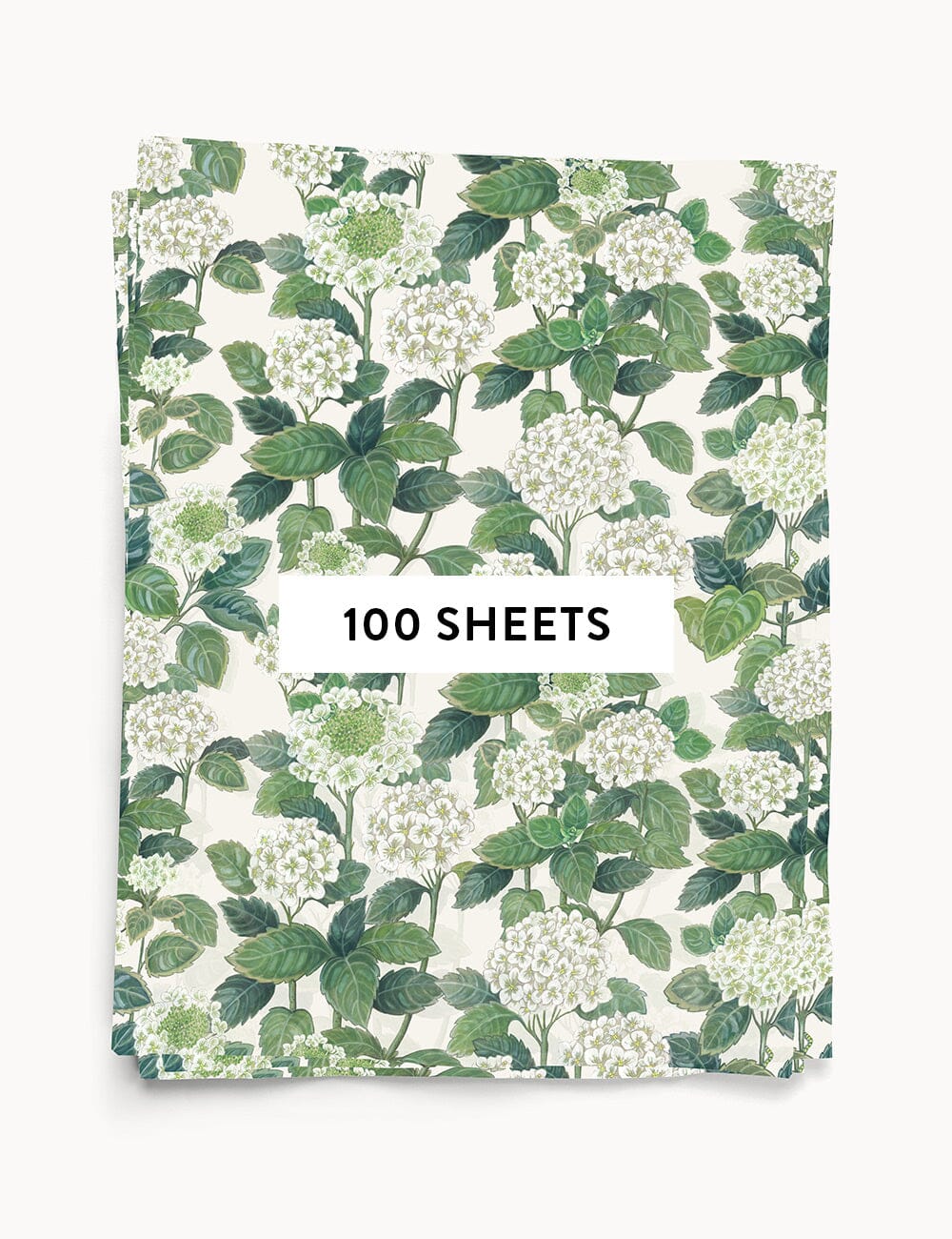 100pk Tissue Paper - Hydrangea Tissue Paper Bespoke Letterpress 