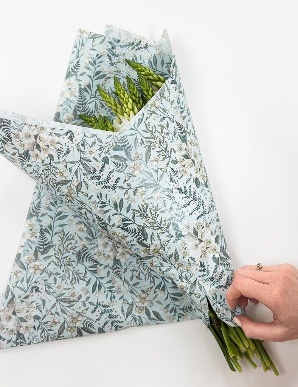 30pk Tissue Paper - Ivory Garden