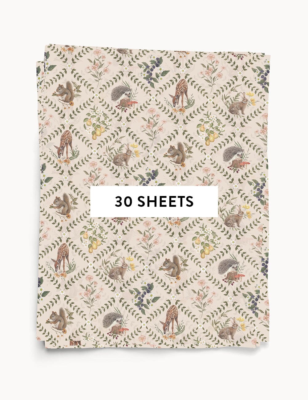 30pk Tissue Paper - Wildflower Trellis