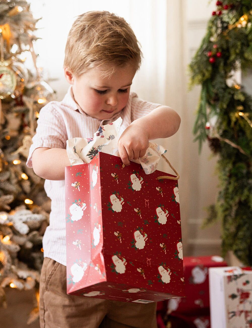 4pk Tissue Paper - Season of Joy