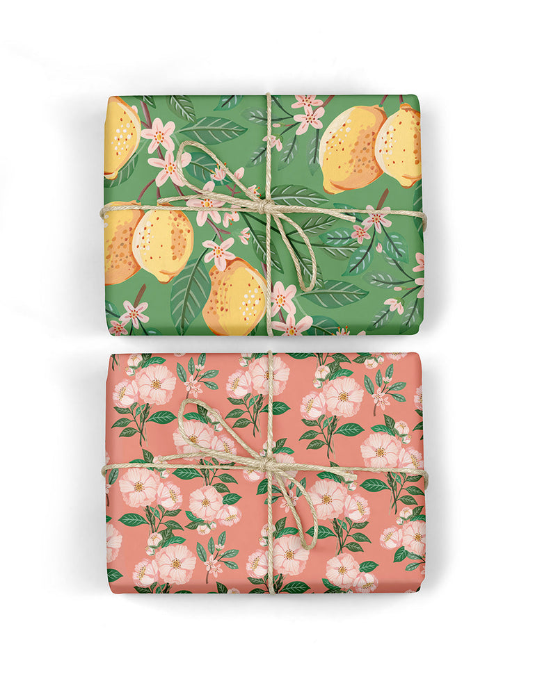 Lemons / Camellias 6pk Gift Wrap
